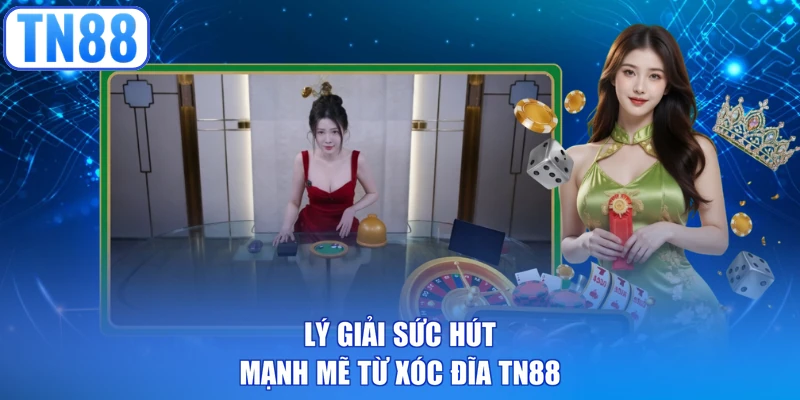 Lý giải sức hút mạnh mẽ từ xóc đĩa TN88