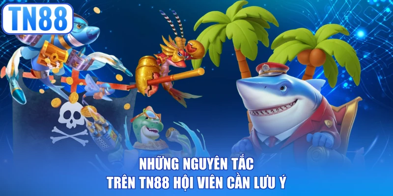 Những nguyên tắc trên TN88 hội viên cần lưu ý